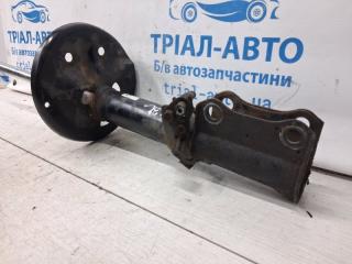 Амортизатор задний левый Toyota Camry XV30 3.0 Бензин 1MZFE