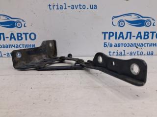 Петля капота левая Sportage 2015-2022 QL 1.7 diesel D4FD