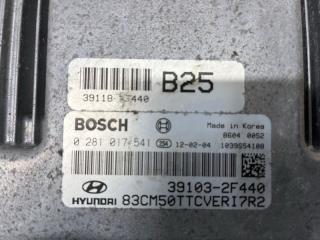 Блок управления двигателем Santa fe 2005-2012 CM 2.2 diesel D4HB