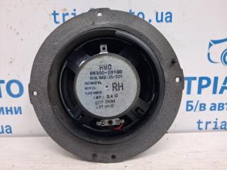 Динамик двери Santa fe 2005-2012 CM 2.2 diesel D4HB