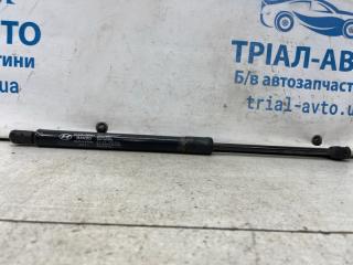 Амортизатор крышки багажника Hyundai Santa fe 2005-2012 CM 2.2 diesel D4HB 817702B001 Б/У
