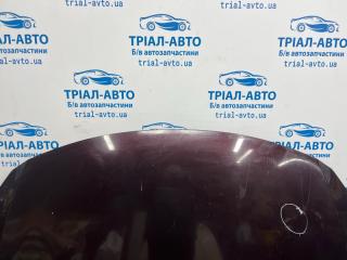 Капот Optima 2010-2016 TF 2.4 бензин G4KJ