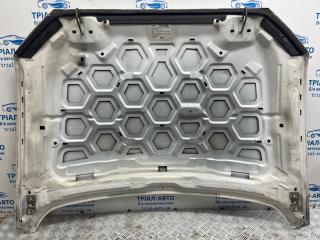 Капот Fusion USA 2013-2020 2 1.5 бензин ENUN0