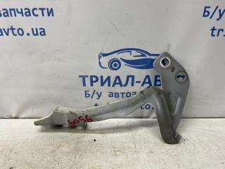 Петля капота правая Fusion USA 2013-2020 2 1.5 бензин ENUN0
