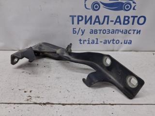 Петля капота левая Captiva 2006-2018 C100 2.0 Дизель Z20S