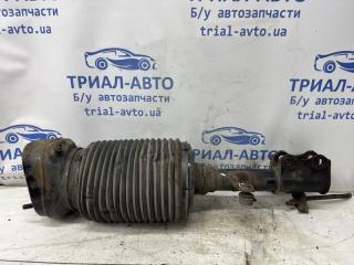 Амортизатор задний RX 350 2003-2009 XU30 3.5 Бензин 2GRFE