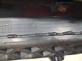 Решетка радиатора Tucson 2004-2009 JM 2.0 diesel D4EA