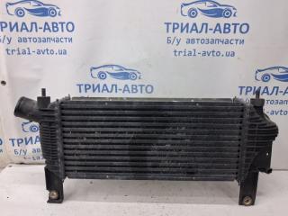Радиатор интеркуллера Pathfinder 2004-2014 R51 2.5 Diesel YD25DDTI